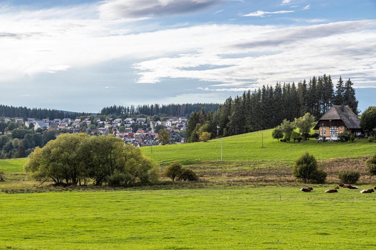 Fewo Luzia Schoenwald im Schwarzwald Exterior photo